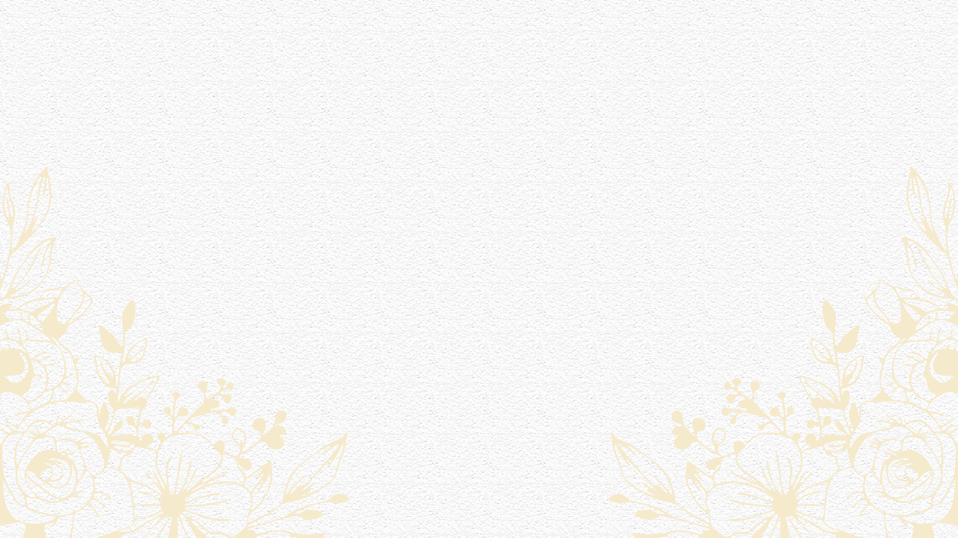 Fondo contador